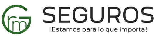 Logo de Seguros Raimundo Motor